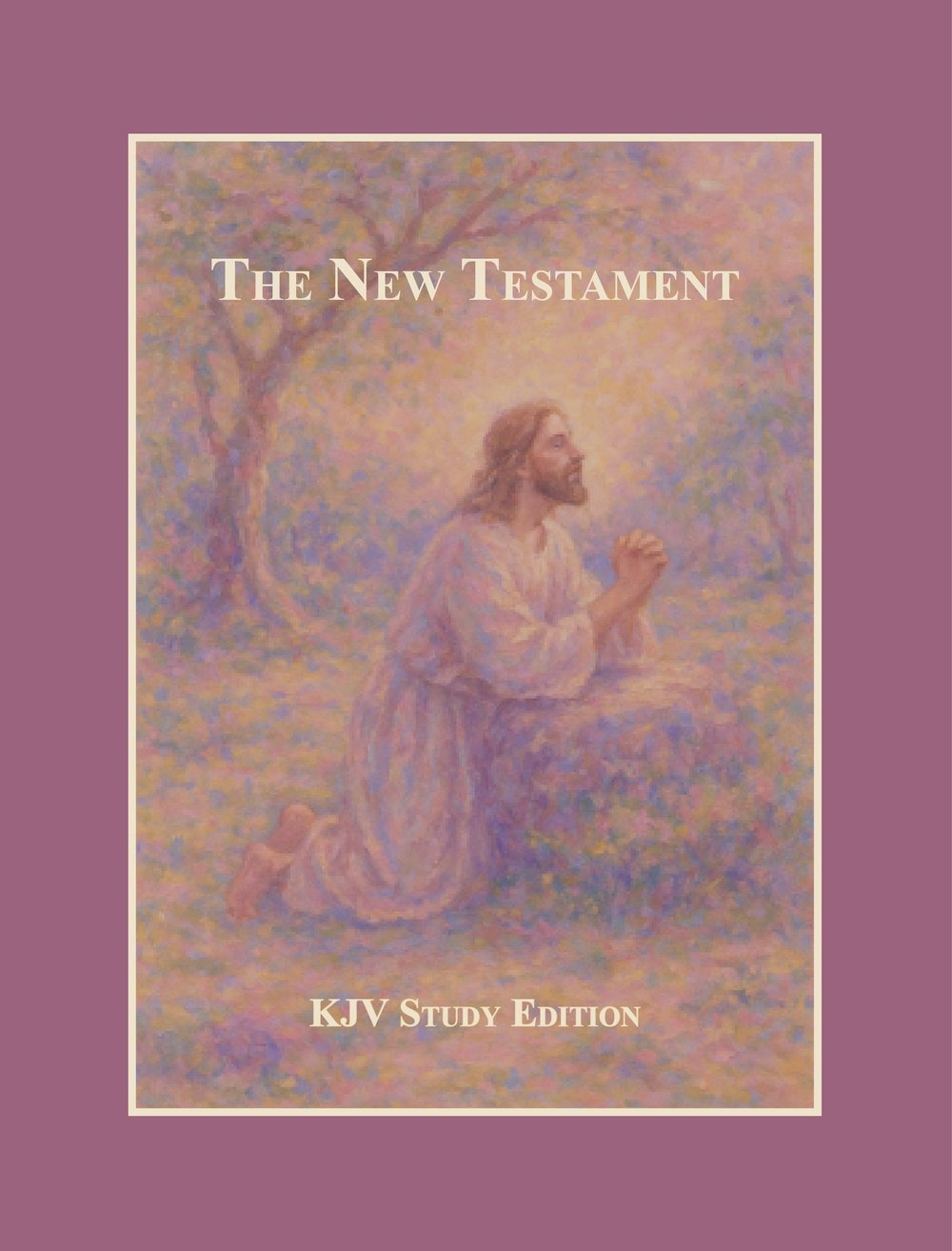 The New Testament cover